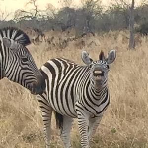 Meet your Posher, Hunter